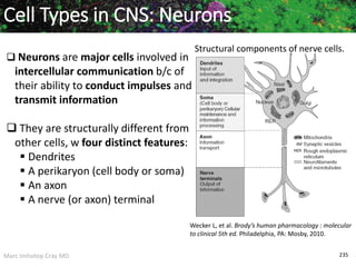 Marc Imhotep Cray MD 235
Cell Types in CNS: Neurons
 Neurons are major cells involved in
intercellular communication b/c of
their ability to conduct impulses and
transmit information
 They are structurally different from
other cells, w four distinct features:
 Dendrites
 A perikaryon (cell body or soma)
 An axon
 A nerve (or axon) terminal
Wecker L, et al. Brody’s human pharmacology : molecular
to clinical 5th ed. Philadelphia, PA: Mosby, 2010.
Structural components of nerve cells.
 