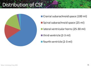 Marc Imhotep Cray MD 31
Distribution of CSF
 