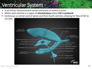 Marc Imhotep Cray MD 33
Ventricular System
 A set of four interconnected cavities (ventricles or lumen) in brain
 Within each ventricle is a region of choroid plexus where CSF is produced
 Continuous w central canal of spinal cord from fourth ventricle, allowing for flow of CSF to
circulate
 