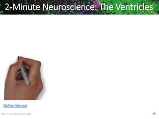 Marc Imhotep Cray MD 36
2-Minute Neuroscience: The Ventricles
Online Version
 