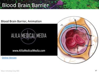 Marc Imhotep Cray MD 37
Blood Brain Barrier
Blood Brain Barrier, Animation
Online Version
 