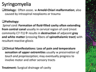 Marc Imhotep Cray MD
Syringomyelia
46
Etiology: Often assoc. w Arnold-Chiari malformation; also
caused by intraspinal neoplasms or trauma
Pathology:
Spinal cord: Formation of fluid-filled cavity often extending
from central canal usually in cervical region of cord (most
commonly C7-T1) results in destruction of adjacent gray
and white matter (crossing fibers of spinothalamic tract) with
resultant reactive gliosis
Clinical Manifestations: Loss of pain and temperature
sensation of upper extremities usually w preservation of
touch and proprioception; may eventually progress to
involve motor and other sensory tracts
Treatment: Surgical drainage of cavity
 