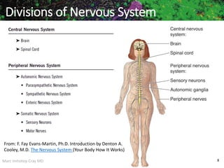 Marc Imhotep Cray MD 8
Divisions of Nervous System
From: F. Fay Evans-Martin, Ph.D. Introduction by Denton A.
Cooley, M.D. The Nervous System (Your Body How It Works)
 