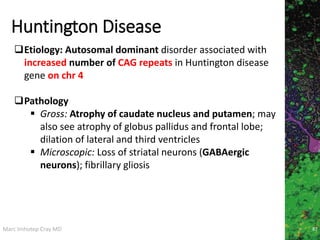 Marc Imhotep Cray MD
Huntington Disease
87
Etiology: Autosomal dominant disorder associated with
increased number of CAG repeats in Huntington disease
gene on chr 4
Pathology
 Gross: Atrophy of caudate nucleus and putamen; may
also see atrophy of globus pallidus and frontal lobe;
dilation of lateral and third ventricles
 Microscopic: Loss of striatal neurons (GABAergic
neurons); fibrillary gliosis
 
