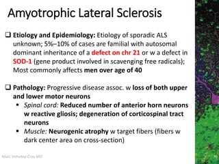 Marc Imhotep Cray MD
Amyotrophic Lateral Sclerosis
99
 Etiology and Epidemiology: Etiology of sporadic ALS
unknown; 5%–10% of cases are familial with autosomal
dominant inheritance of a defect on chr 21 or w a defect in
SOD-1 (gene product involved in scavenging free radicals);
Most commonly affects men over age of 40
 Pathology: Progressive disease assoc. w loss of both upper
and lower motor neurons
 Spinal cord: Reduced number of anterior horn neurons
w reactive gliosis; degeneration of corticospinal tract
neurons
 Muscle: Neurogenic atrophy w target fibers (fibers w
dark center area on cross-section)
 