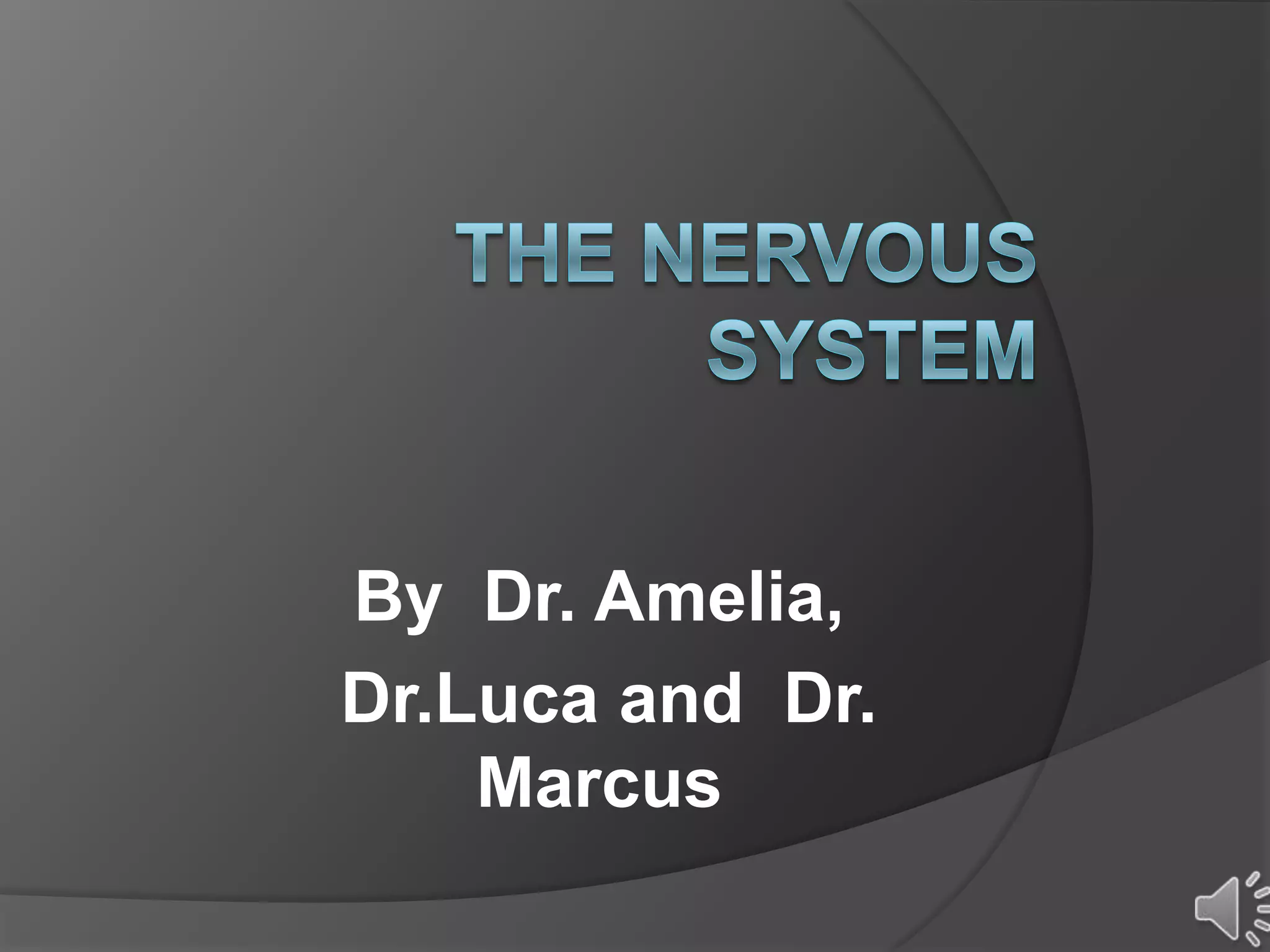 By Dr. Amelia,
Dr.Luca and Dr.
Marcus
 