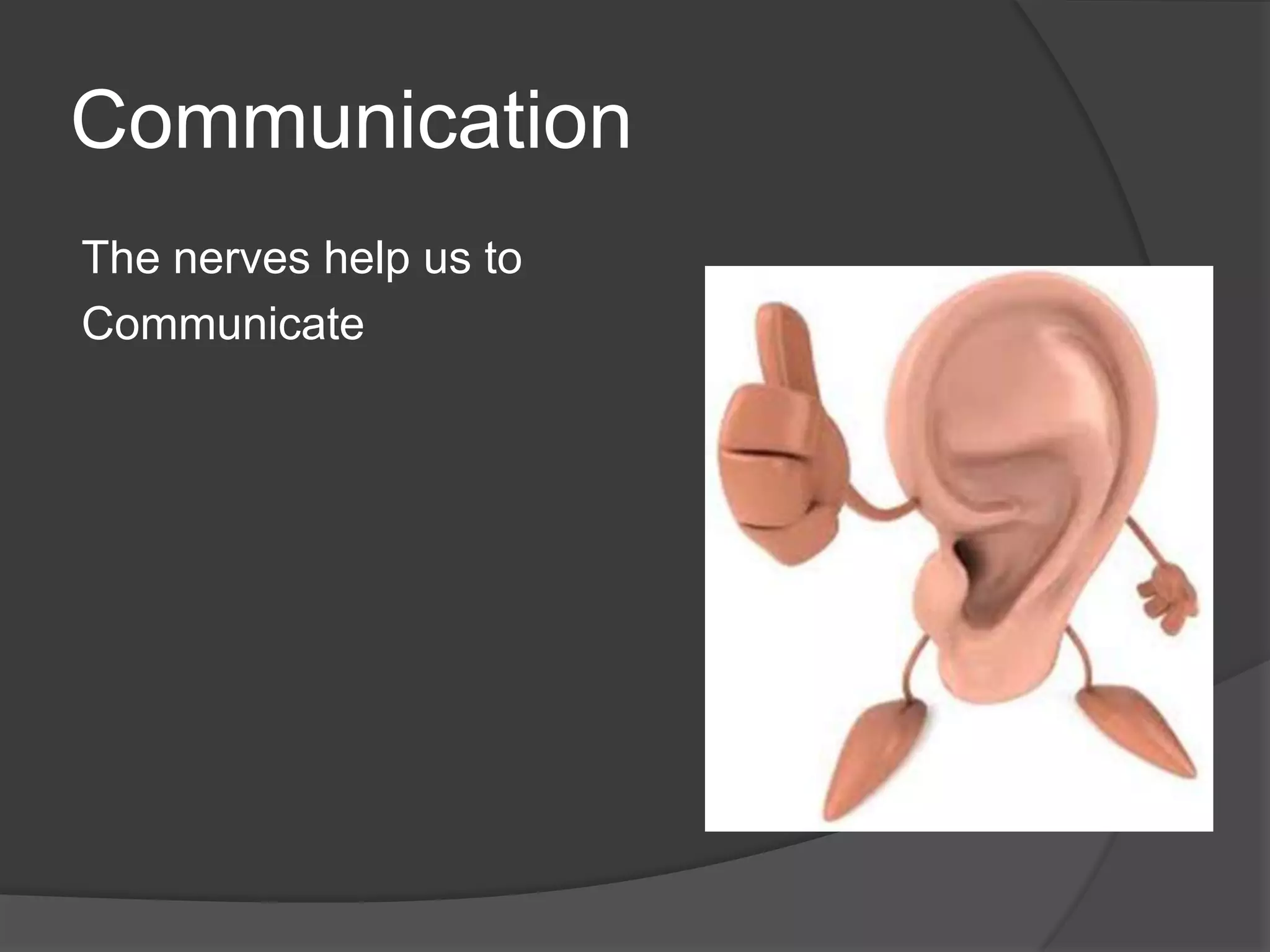 Communication
The nerves help us to
Communicate
 