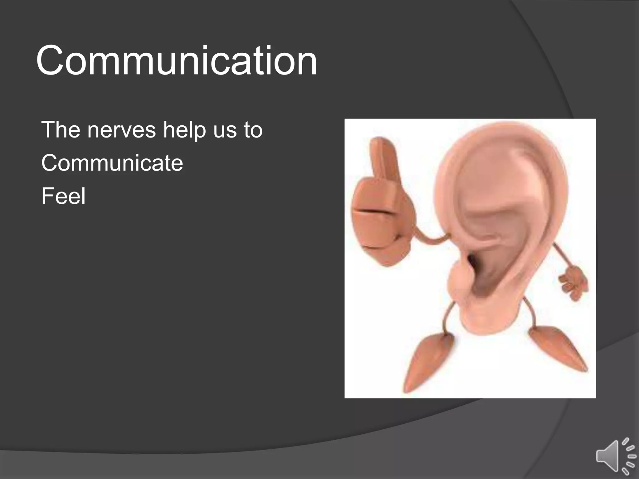 Communication
The nerves help us to
Communicate
Feel
 