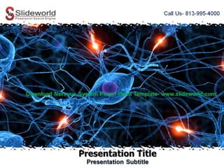 Nervous system powerpoint template