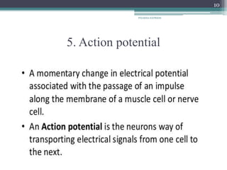 5. Action potential
PHARMA EXPRESS
10
 