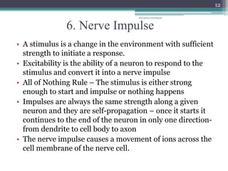 6. Nerve Impulse
• A stimulus is a change in the environment with sufficient
strength to initiate a response.
• Excitability is the ability of a neuron to respond to the
stimulus and convert it into a nerve impulse
• All of Nothing Rule – The stimulus is either strong
enough to start and impulse or nothing happens
• Impulses are always the same strength along a given
neuron and they are self-propagation – once it starts it
continues to the end of the neuron in only one direction-
from dendrite to cell body to axon
• The nerve impulse causes a movement of ions across the
cell membrane of the nerve cell.
PHARMA EXPRESS
12
 