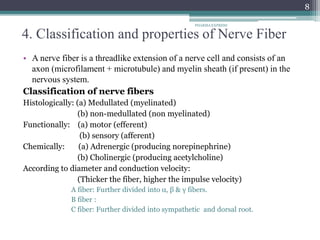 4. Classification and properties of Nerve Fiber
• A nerve fiber is a threadlike extension of a nerve cell and consists of an
axon (microfilament + microtubule) and myelin sheath (if present) in the
nervous system.
Classification of nerve fibers
Histologically: (a) Medullated (myelinated)
(b) non-medullated (non myelinated)
Functionally: (a) motor (efferent)
(b) sensory (afferent)
Chemically: (a) Adrenergic (producing norepinephrine)
(b) Cholinergic (producing acetylcholine)
According to diameter and conduction velocity:
(Thicker the fiber, higher the impulse velocity)
A fiber: Further divided into α, β & γ fibers.
B fiber :
C fiber: Further divided into sympathetic and dorsal root.
8
PHARMA EXPRESS
 