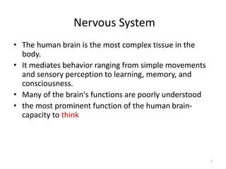 Nervous System
• The human brain is the most complex tissue in the
body.
• It mediates behavior ranging from simple movements
and sensory perception to learning, memory, and
consciousness.
• Many of the brain's functions are poorly understood
• the most prominent function of the human brain-
capacity to think
1
 
