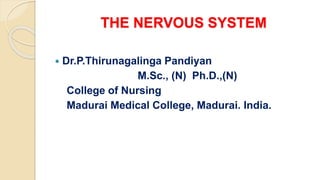 THE NERVOUS SYSTEM
 Dr.P.Thirunagalinga Pandiyan
M.Sc., (N) Ph.D.,(N)
College of Nursing
Madurai Medical College, Madurai. India.
 