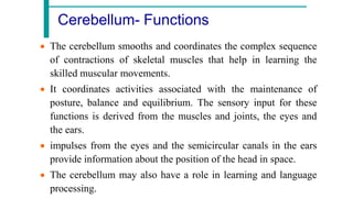 The introduction of NervousSystemPPT.pdf