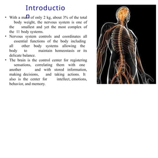 Introductio
n
• With a mass of only 2 kg, about 3% of the total
body weight, the nervous system is one of
the smallest and yet the most complex of
the 11 body systems.
• Nervous system controls and coordinates all
essential functions of the body including
all other body systems allowing the
body to maintain homeostasis or its
delicate balance.
• The brain is the control center for registering
sensations, correlating them with one
another and with stored information,
making decisions, and taking actions. It
also is the center for intellect, emotions,
behavior, and memory.
 
