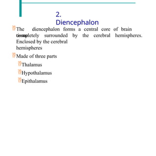 2.
Diencephalon
The diencephalon forms a central core of brain
tissue
completely surrounded by the cerebral hemispheres.
Enclosed by the cerebral
hemispheres
Made of three parts
Thalamus
Hypothalamus
Epithalamus
 