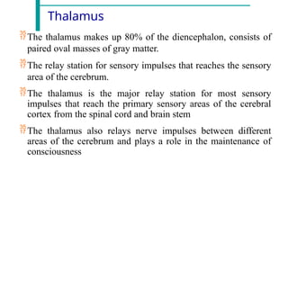Thalamus
The thalamus makes up 80% of the diencephalon, consists of
paired oval masses of gray matter.
The relay station for sensory impulses that reaches the sensory
area of the cerebrum.
The thalamus is the major relay station for most sensory
impulses that reach the primary sensory areas of the cerebral
cortex from the spinal cord and brain stem
The thalamus also relays nerve impulses between different
areas of the cerebrum and plays a role in the maintenance of
consciousness
 