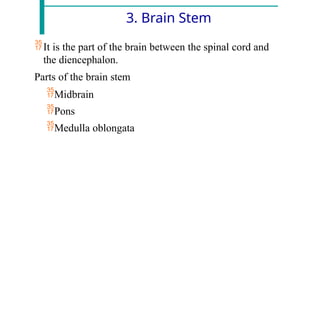 3. Brain Stem
It is the part of the brain between the spinal cord and
the diencephalon.
Parts of the brain stem
Midbrain
Pons
Medulla oblongata
 