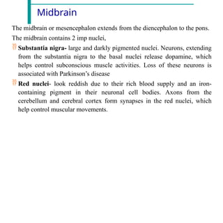 Midbrain
The midbrain or mesencephalon extends from the diencephalon to the pons.
The midbrain contains 2 imp nuclei,
 Substantia nigra- large and darkly pigmented nuclei. Neurons, extending
from the substantia nigra to the basal nuclei release dopamine, which
helps control subconscious muscle activities. Loss of these neurons is
associated with Parkinson’s disease
 Red nuclei- look reddish due to their rich blood supply and an iron-
containing pigment in their neuronal cell bodies. Axons from the
cerebellum and cerebral cortex form synapses in the red nuclei, which
help control muscular movements.
 