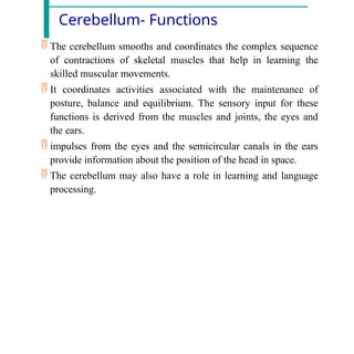 Cerebellum- Functions
 The cerebellum smooths and coordinates the complex sequence
of contractions of skeletal muscles that help in learning the
skilled muscular movements.
 It coordinates activities associated with the maintenance of
posture, balance and equilibrium. The sensory input for these
functions is derived from the muscles and joints, the eyes and
the ears.
 impulses from the eyes and the semicircular canals in the ears
provide information about the position of the head in space.
 The cerebellum may also have a role in learning and language
processing.
 