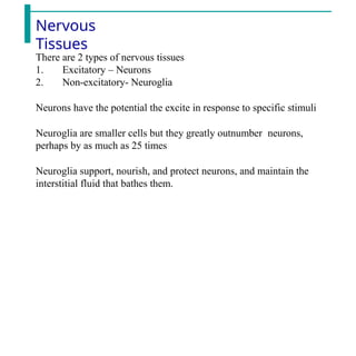 Nervous
Tissues
There are 2 types of nervous tissues
1. Excitatory – Neurons
2. Non-excitatory- Neuroglia
Neurons have the potential the excite in response to specific stimuli
Neuroglia are smaller cells but they greatly outnumber neurons,
perhaps by as much as 25 times
Neuroglia support, nourish, and protect neurons, and maintain the
interstitial fluid that bathes them.
 