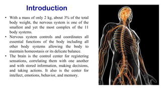 nervous system and structure of a neuron with classification and ...