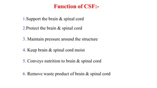 Cs Brain Function nervous system and structure of a neuron with classification and ...