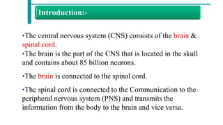 nervous system and structure of a neuron with classification and ...