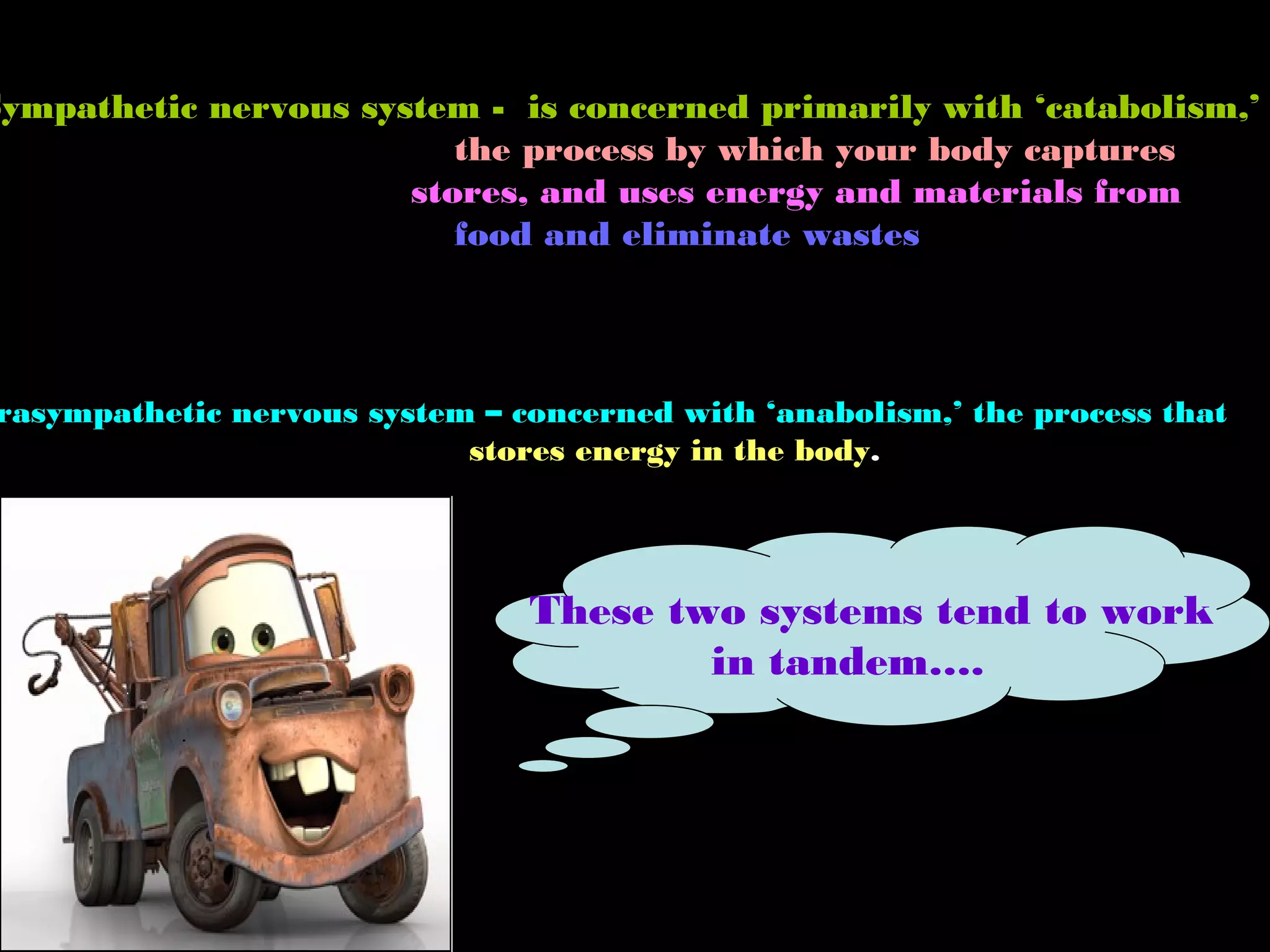 Sympathetic nervous system - is concerned primarily with ‘catabolism,’
the process by which your body captures
stores, and uses energy and materials from
food and eliminate wastes
rasympathetic nervous system – concerned with ‘anabolism,’ the process that
stores energy in the body.
These two systems tend to work
in tandem….
 