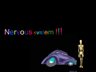 NERVOUS SYSTEMNervous system !!!
 