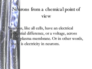Neurons from a chemical point of view Neurons, like all cells, have an electrical potential difference, or a voltage, across their plasma membrane. Or in other words, there is electricity in neurons. 