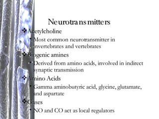 Neurotransmitters Acetylcholine Most common neurotransmitter in invertebrates and vertebrates Biogenic amines Derived from amino acids, involved in indirect synaptic transmission Amino Acids Gamma aminobutyric acid, glycine, glutamate, and aspartate  Gases NO and CO act as local regulators  