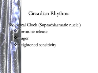 Circadian Rhythms Biological Clock (Suprachiasmatic nuclei) Hormone release Huger Heightened sensitivity 