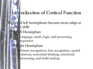 Lateralization of Cortical Function Right and left hemispheres become more adapt at certain skills Left Hemisphere Language, math, logic, and processing sequences Right Hemisphere Pattern recognition, face recognition, spatial relations, nonverbal thinking, emotional processing, and multi-tasking 