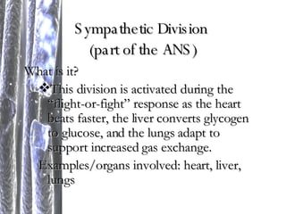 Sympathetic Division  (part of the ANS) What is it? This division is activated during the “flight-or-fight” response as the heart beats faster, the liver converts glycogen to glucose, and the lungs adapt to support increased gas exchange. Examples/organs involved: heart, liver, lungs 