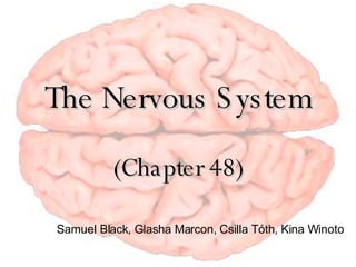 The Nervous System (Chapter 48) Samuel Black, Glasha Marcon, Csilla T óth, Kina Winoto 