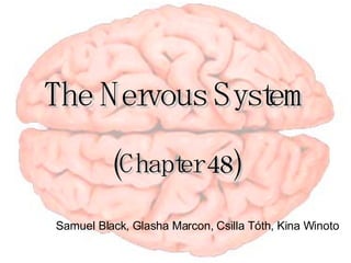The Nervous System (Chapter 48) Samuel Black, Glasha Marcon, Csilla T óth, Kina Winoto 