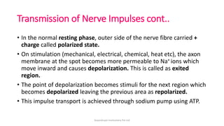 Transmission of Nerve Impulses cont..
• In the normal resting phase, outer side of the nerve fibre carried +
charge called polarized state.
• On stimulation (mechanical, electrical, chemical, heat etc), the axon
membrane at the spot becomes more permeable to Na+ ions which
move inward and causes depolarization. This is called as exited
region.
• The point of depolarization becomes stimuli for the next region which
becomes depolarized leaving the previous area as repolarized.
• This impulse transport is achieved through sodium pump using ATP.
ArpanAryan Institutions Pvt Ltd
 