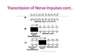 Transmission of Nerve Impulses cont..
ArpanAryan Institutions Pvt Ltd
 