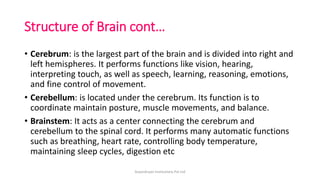Structure of Brain cont…
• Cerebrum: is the largest part of the brain and is divided into right and
left hemispheres. It performs functions like vision, hearing,
interpreting touch, as well as speech, learning, reasoning, emotions,
and fine control of movement.
• Cerebellum: is located under the cerebrum. Its function is to
coordinate maintain posture, muscle movements, and balance.
• Brainstem: It acts as a center connecting the cerebrum and
cerebellum to the spinal cord. It performs many automatic functions
such as breathing, heart rate, controlling body temperature,
maintaining sleep cycles, digestion etc
ArpanAryan Institutions Pvt Ltd
 