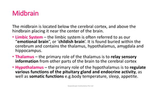 Midbrain
The midbrain is located below the cerebral cortex, and above the
hindbrain placing it near the center of the brain.
• Limbic System – the limbic system is often referred to as our
“emotional brain”, or ‘childish brain’. It is found buried within the
cerebrum and contains the thalamus, hypothalamus, amygdala and
hippocampus.
• Thalamus – the primary role of the thalamus is to relay sensory
information from other parts of the brain to the cerebral cortex
• Hypothalamus – the primary role of the hypothalamus is to regulate
various functions of the pituitary gland and endocrine activity, as
well as somatic functions e.g.body temperature, sleep, appetite.
ArpanAryan Institutions Pvt Ltd
 