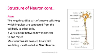 Structure of Neuron cont..
Axon
The long threadlike part of a nerve cell along
which impulses are conducted from the
cell body to other cells.
It varies in size between few millimeter
to one meter.
Most neurons are covered by a white
insulating sheath called as Neurolemma.
ArpanAryan Institutions Pvt Ltd
 
