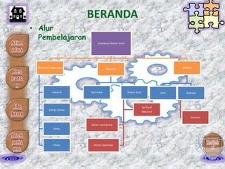 BERANDA
• Alur
Pembelajaran
Koordinasi Sistem Saraf

Stimulus/rangsangan

mekanik

Efektor

Reseptor

Alat Indra

Sistem Saraf

Otot

Kelenjar

Sel Saraf

energi cahaya

(Neuron)
Hormon

Sistem saraf pusat
kimia

Panas

Sistem Saraf tepi

 