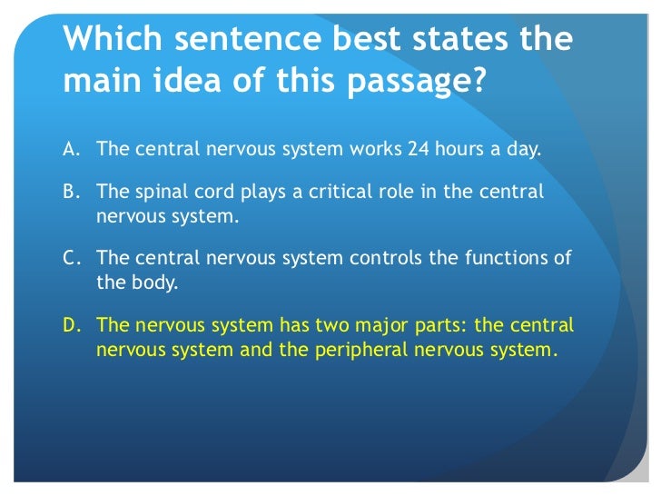 Nervous system review