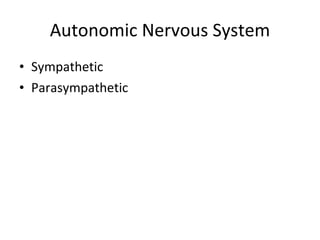 Autonomic Nervous System Sympathetic  Parasympathetic 