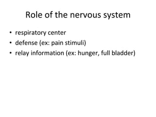 Role of the nervous system respiratory center defense (ex: pain stimuli) relay information (ex: hunger, full bladder) 