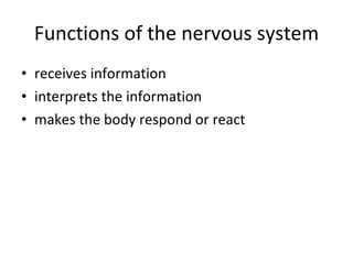 Functions of the nervous system receives information  interprets the information makes the body respond or react 