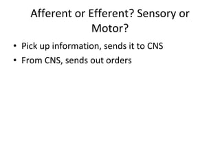 Afferent or Efferent? Sensory or Motor? Pick up information, sends it to CNS From CNS, sends out orders 