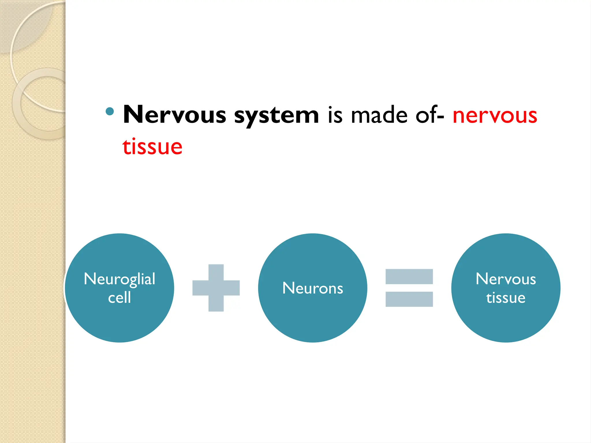  Nervous system is made of- nervous
tissue
Neuroglial
cell
Neurons
Nervous
tissue
 